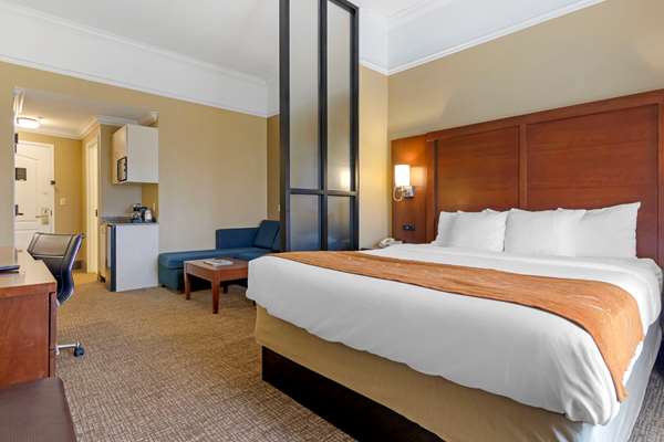 Suite - Comfort Suites Port Wentworth - I-95, Exit 109