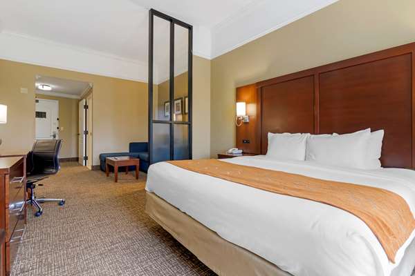 Suite - Comfort Suites Port Wentworth - I-95, Exit 109