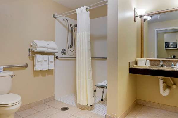 Suite - Comfort Suites Port Wentworth - I-95, Exit 109