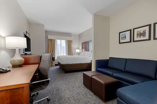 Suite - Comfort Suites Stockbridge - I-75, Exit 228