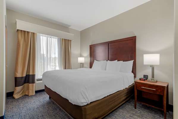 Suite - Comfort Suites Stockbridge - I-75, Exit 228