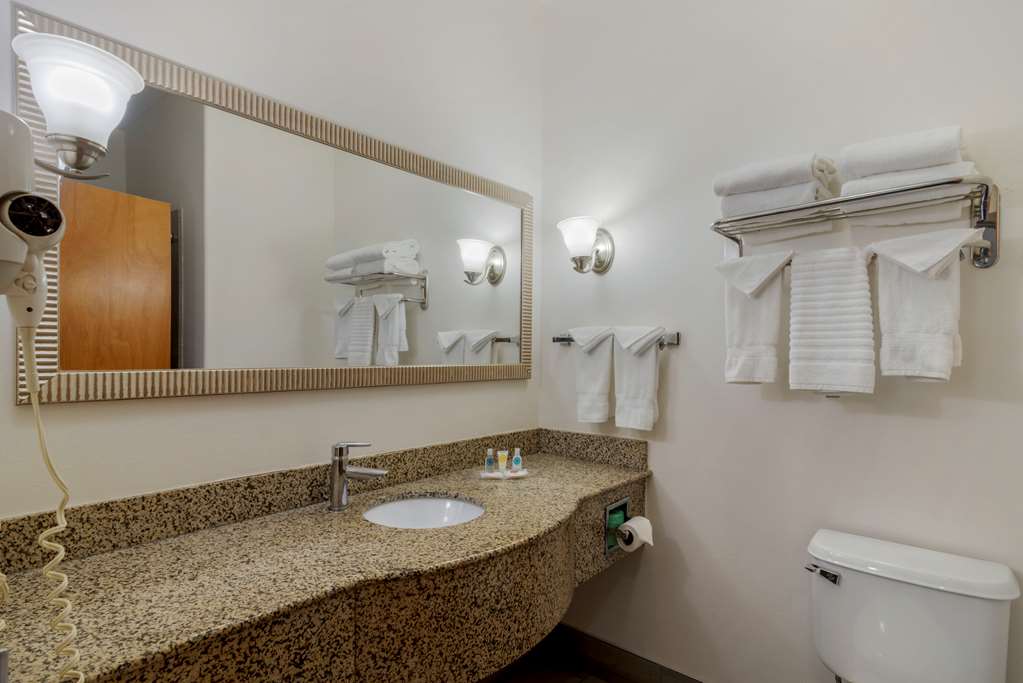 COMFORT SUITES STOCKBRIDGE ATLANTA-guestroom-Guest Room,Bathroom,On-Site.jpg
