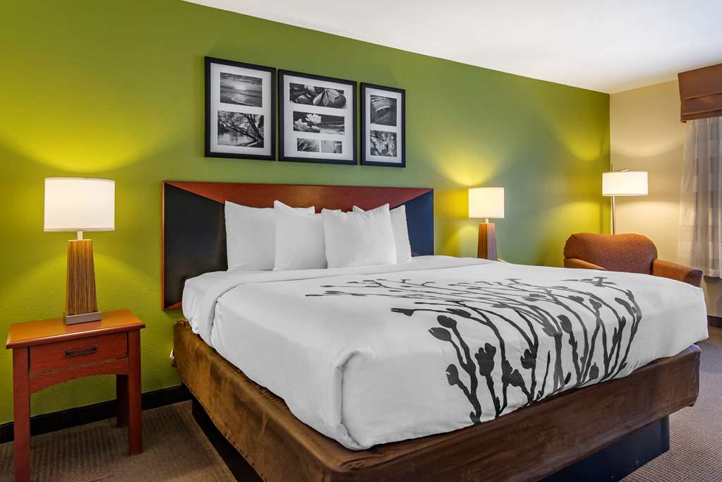 SLEEP INN AND SUITES STOCKBRIDGE AT-guestroom-Guest Room,On-Site.jpg