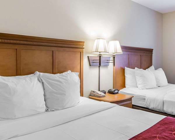 Suite - Comfort Suites Valdosta - I-75, Exit 18