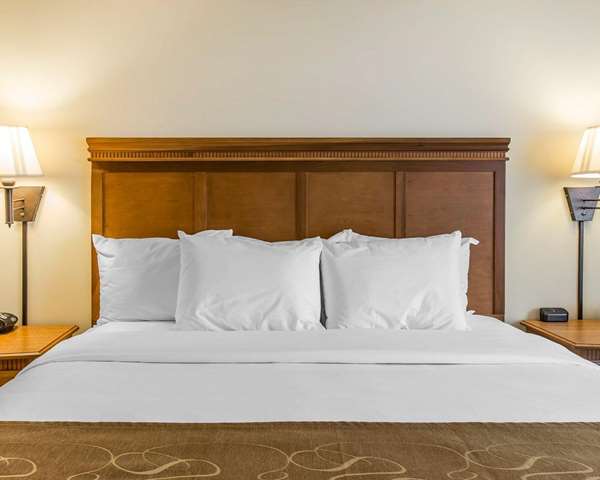 Suite - Comfort Suites Valdosta - I-75, Exit 18