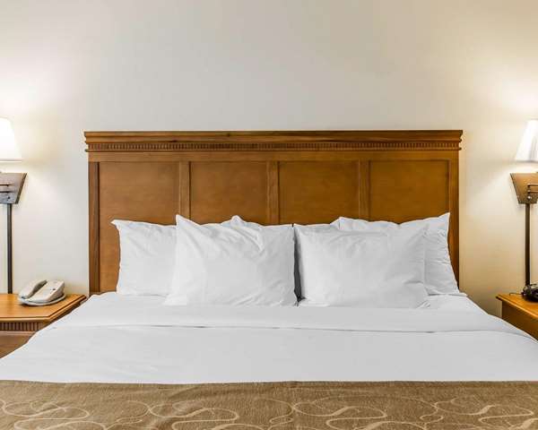 Suite - Comfort Suites Valdosta - I-75, Exit 18