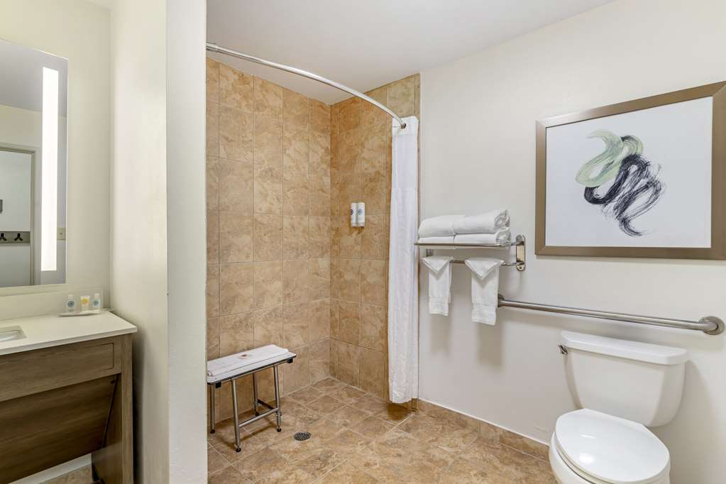 COMFORT SUITES VALDOSTA MALL AREA-guestroom-Guest Room,Bathroom,On-Site.jpg