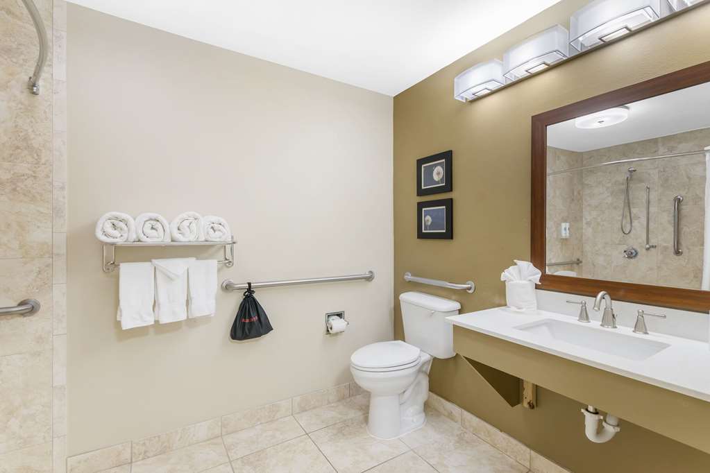 COMFORT INN AND SUITES TIFTON-guestroom-Guest Room,Bathroom,On-Site.jpg