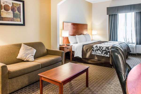 Suite - Sleep Inn & Suites Pooler - I-95, Exit 102