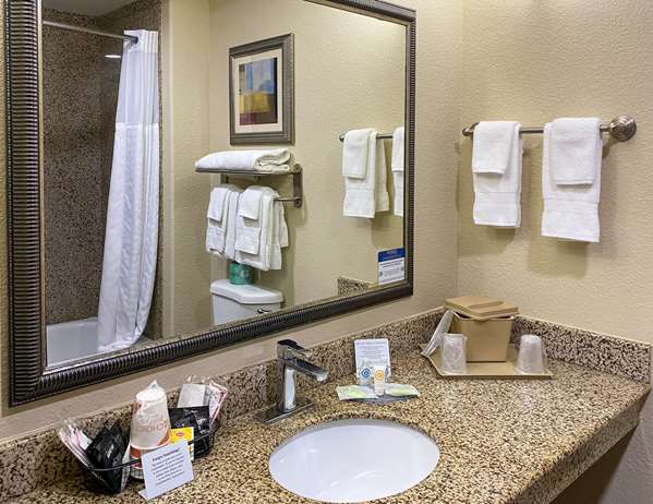 Suite - Comfort Suites Kingsland - I-95, Exit 3