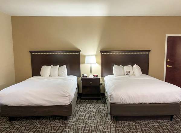Suite - Comfort Suites Kingsland - I-95, Exit 3