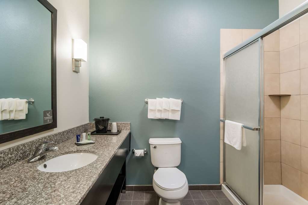 SLEEP INN AND SUITES AT KENNESAW ST-guestroom-Guest Room,Bathroom,On-Site.jpg