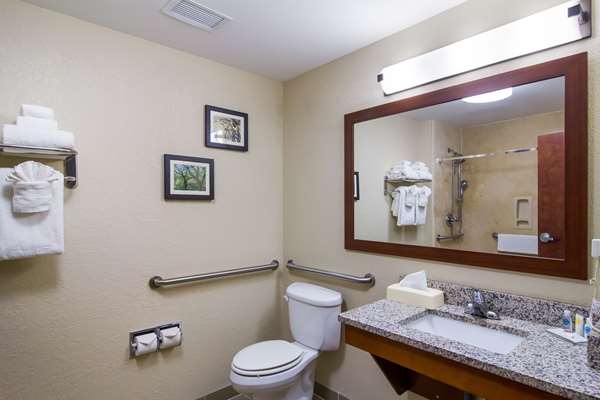 Suite - Comfort Inn Blackshear