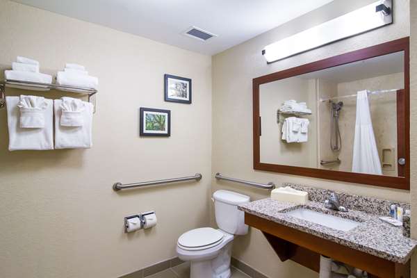  - Comfort Inn Blackshear