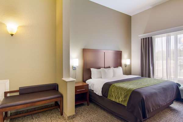  - Comfort Inn Blackshear