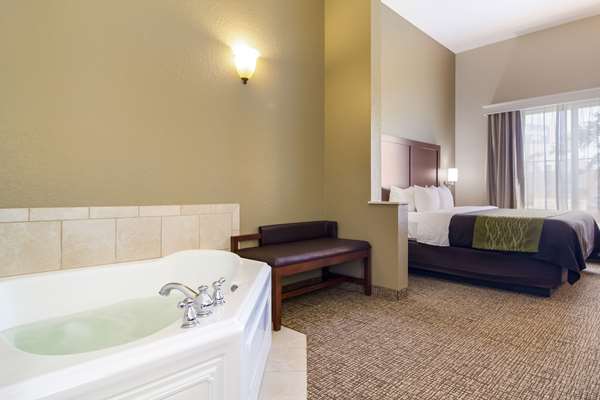  - Comfort Inn Blackshear