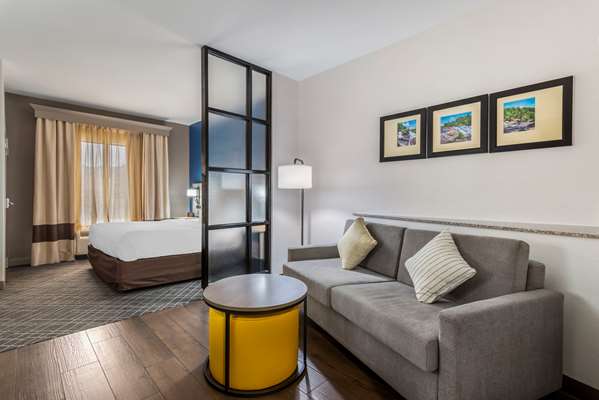 Suite - Comfort Suites Macon - I-475, Exit 9