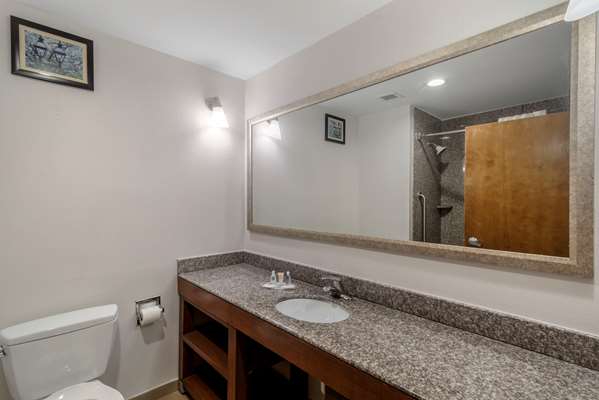  - Comfort Suites Macon - I-475, Exit 9