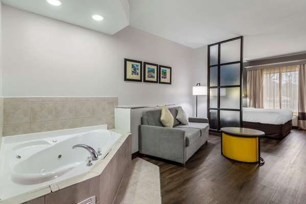 Suite - Comfort Suites Macon - I-475, Exit 9