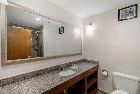  - Comfort Suites Macon - I-475, Exit 9