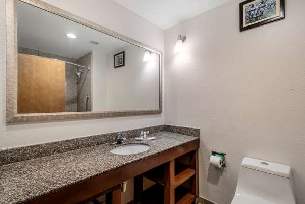  - Comfort Suites Macon - I-475, Exit 9