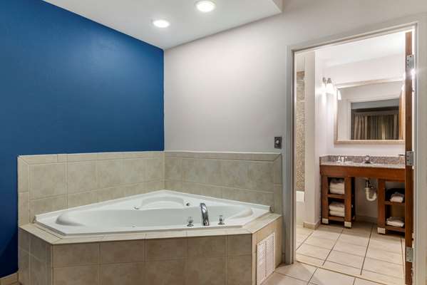 Suite - Comfort Suites Macon - I-475, Exit 9