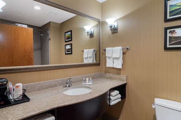  - Comfort Suites Byron