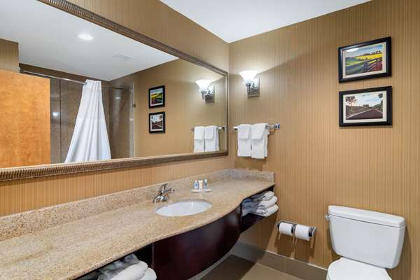 Suite - Comfort Suites Byron