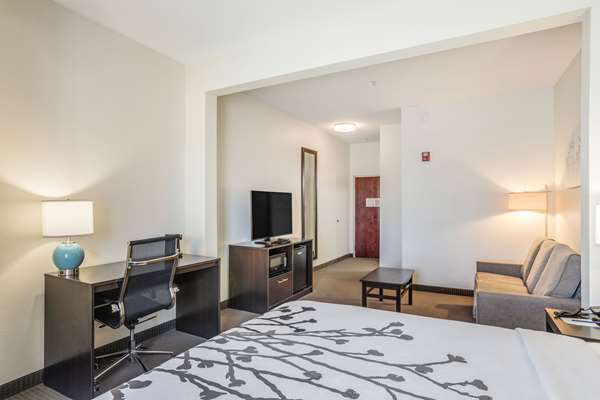 Suite - Sleep Inn & Suites Hiram