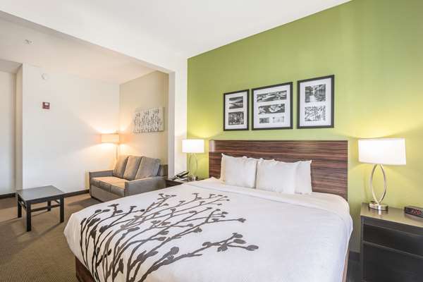 Suite - Sleep Inn & Suites Hiram
