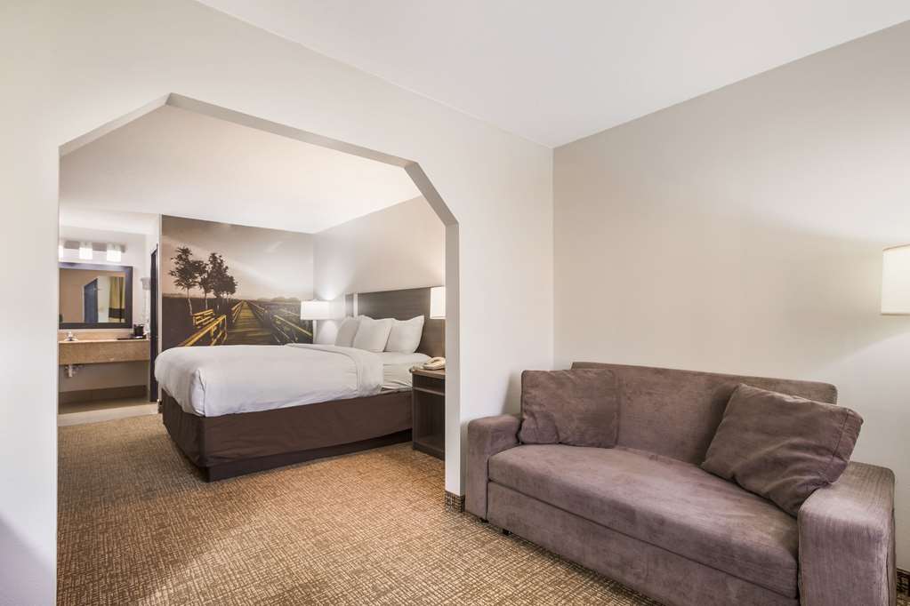 CLARION POINTE FORSYTH I-75-guestroom-Guest Room,Suite,On-Site.jpg