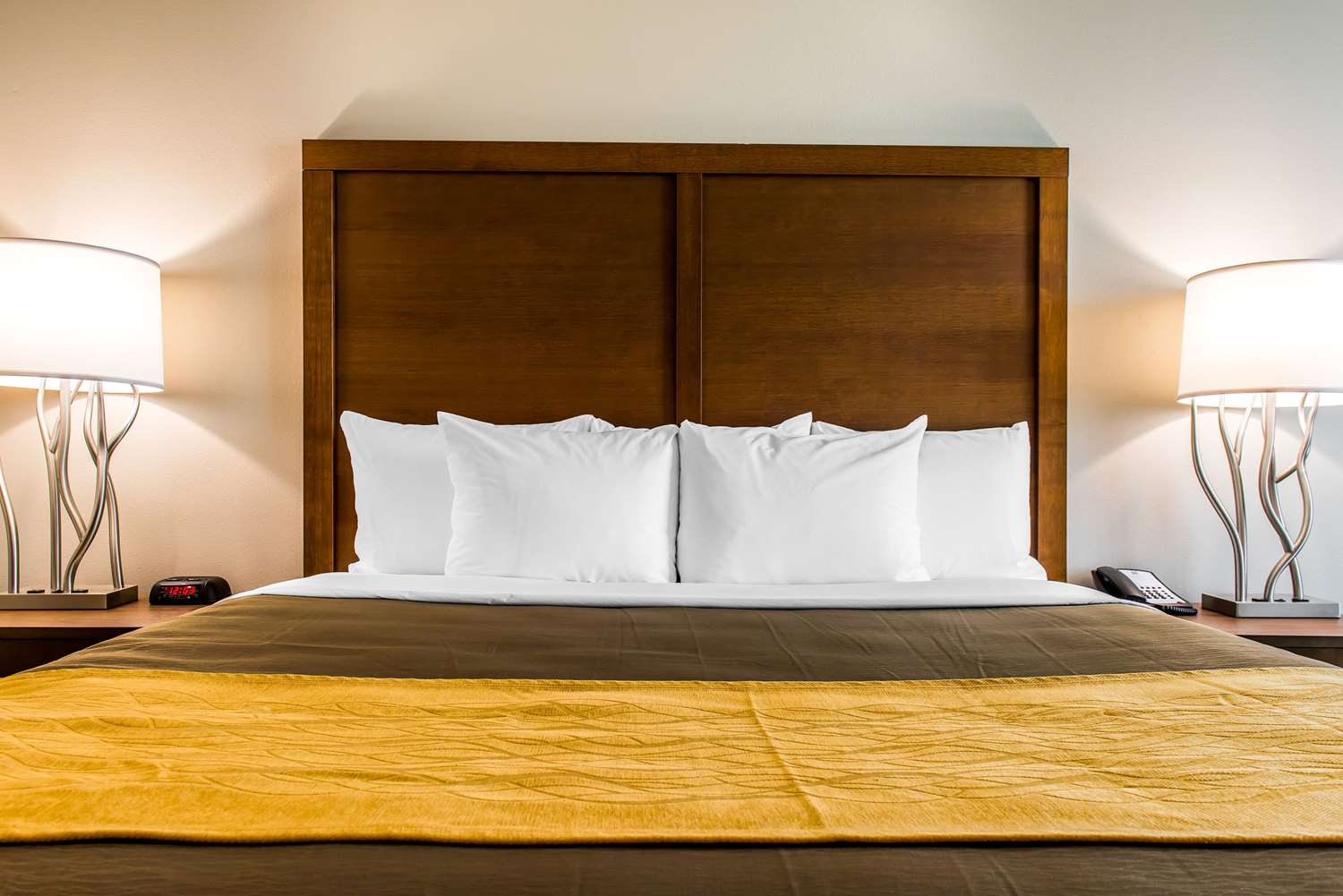 Comfort Inn Suites Valdosta Ga See Discounts