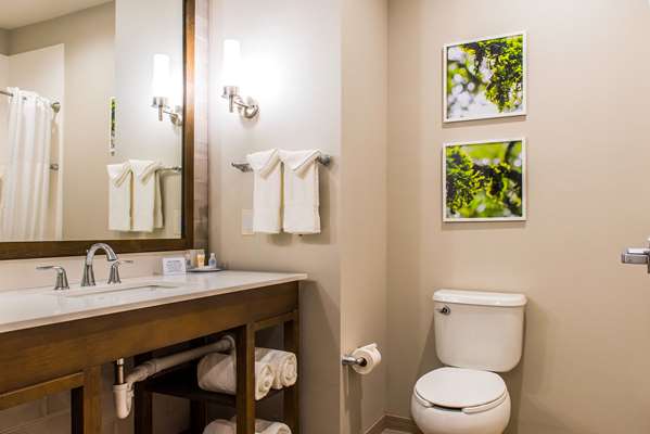  - Comfort Inn & Suites Valdosta - I-75, Exit 16