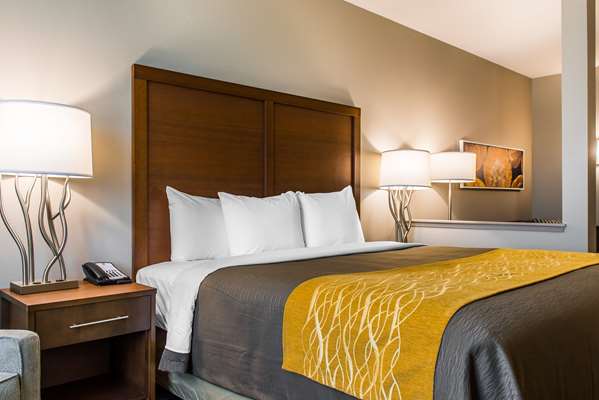 Suite - Comfort Inn & Suites Valdosta - I-75, Exit 16