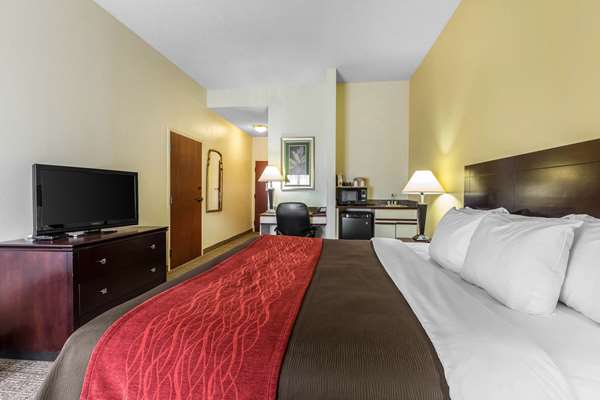  - Comfort Inn & Suites Thomson - I-20, Exit 172