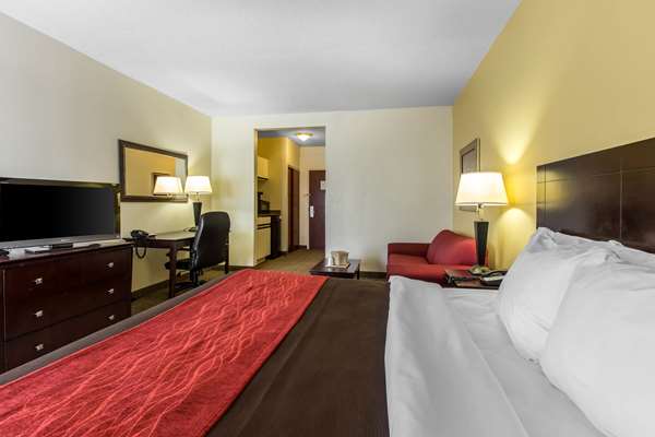  - Comfort Inn & Suites Thomson - I-20, Exit 172