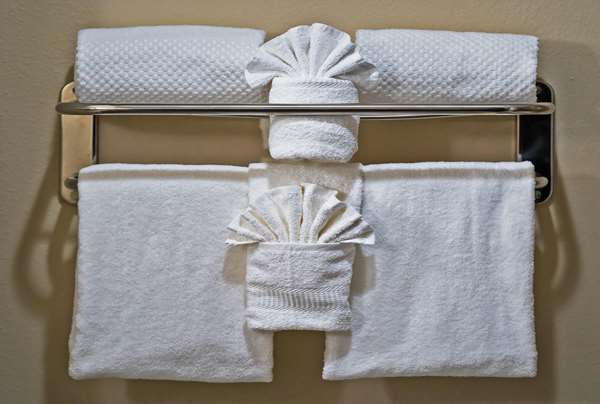  - Comfort Inn & Suites West Augusta - I-20, Exit 194