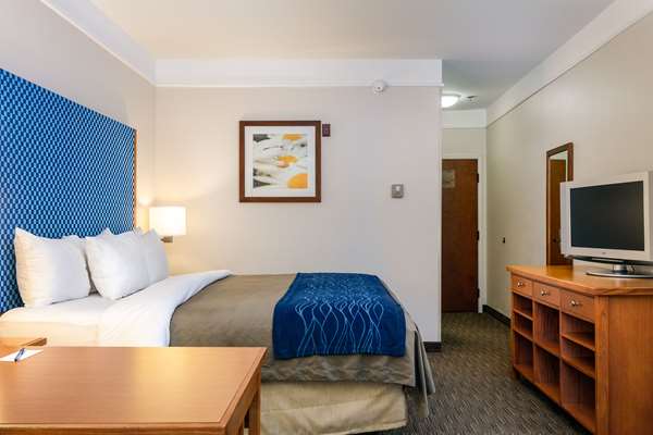  - Comfort Inn & Suites Airport Savannah - I-95, Exit 104