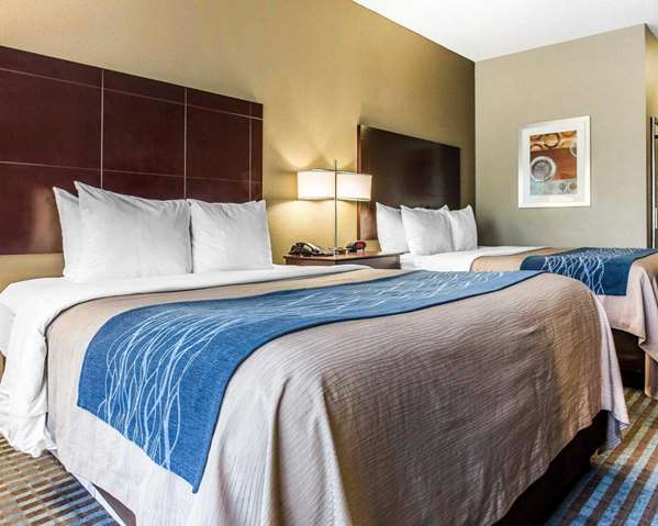  - Comfort Inn & Suites Dobbins Air Reserve Base Smyrna - I-75, Exit 260