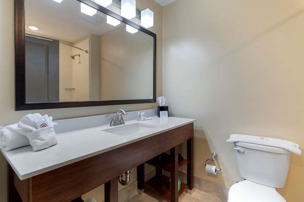 Suite - Comfort Inn & Suites East Ellijay