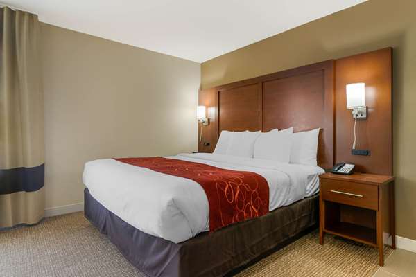 Suite - Comfort Inn & Suites Southwest Macon - I-475, Exit 3