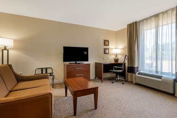 Suite - Comfort Inn & Suites Southwest Macon - I-475, Exit 3