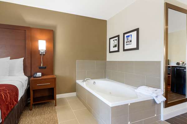 Suite - Comfort Inn & Suites Southwest Macon - I-475, Exit 3