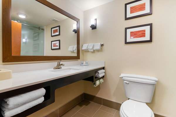 - Comfort Inn & Suites Southwest Macon - I-475, Exit 3