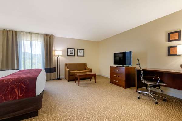 Suite - Comfort Inn & Suites Southwest Macon - I-475, Exit 3