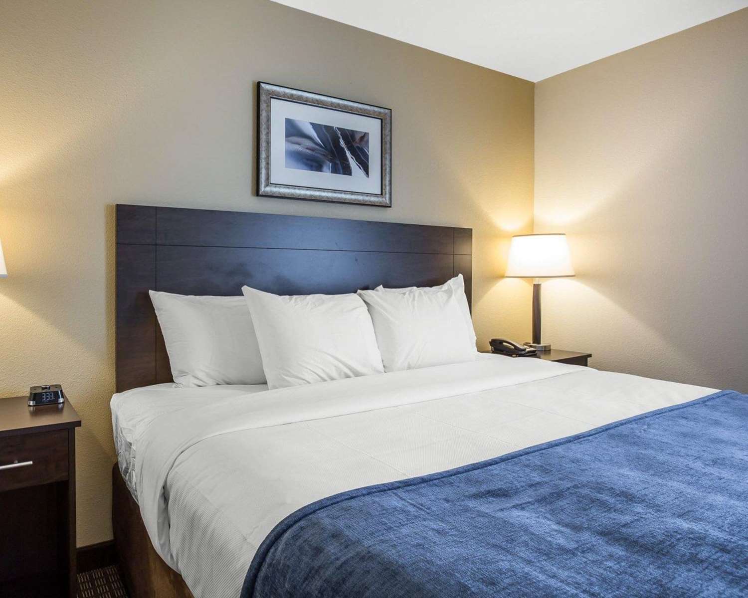 MainStay Suites Emerson, GA See Discounts