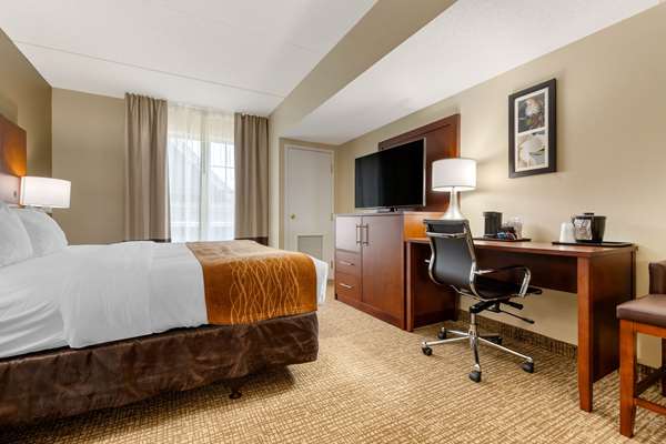 Suite - Comfort Inn & Suites Cordele - I-75, Exit 99