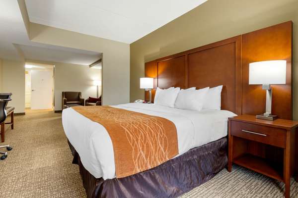 Suite - Comfort Inn & Suites Cordele - I-75, Exit 99