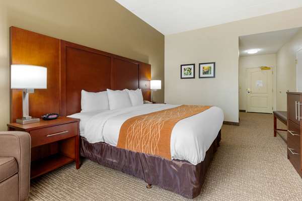  - Comfort Inn & Suites Cordele - I-75, Exit 99
