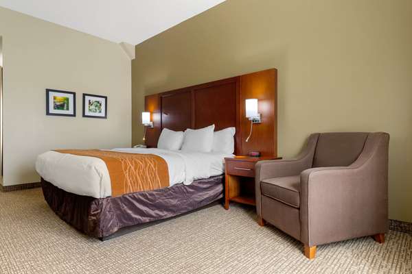  - Comfort Inn & Suites Cordele - I-75, Exit 99